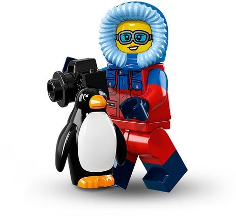 Wildlife Photographer