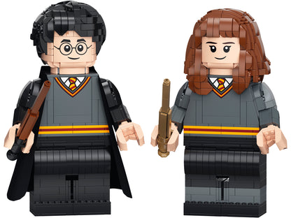 Harry Potter & Hermione Granger