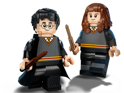 Harry Potter & Hermione Granger