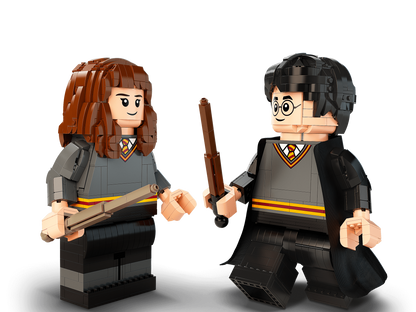 Harry Potter & Hermione Granger