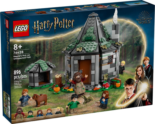 Hagrid's Hut: An Unexpected Visit
