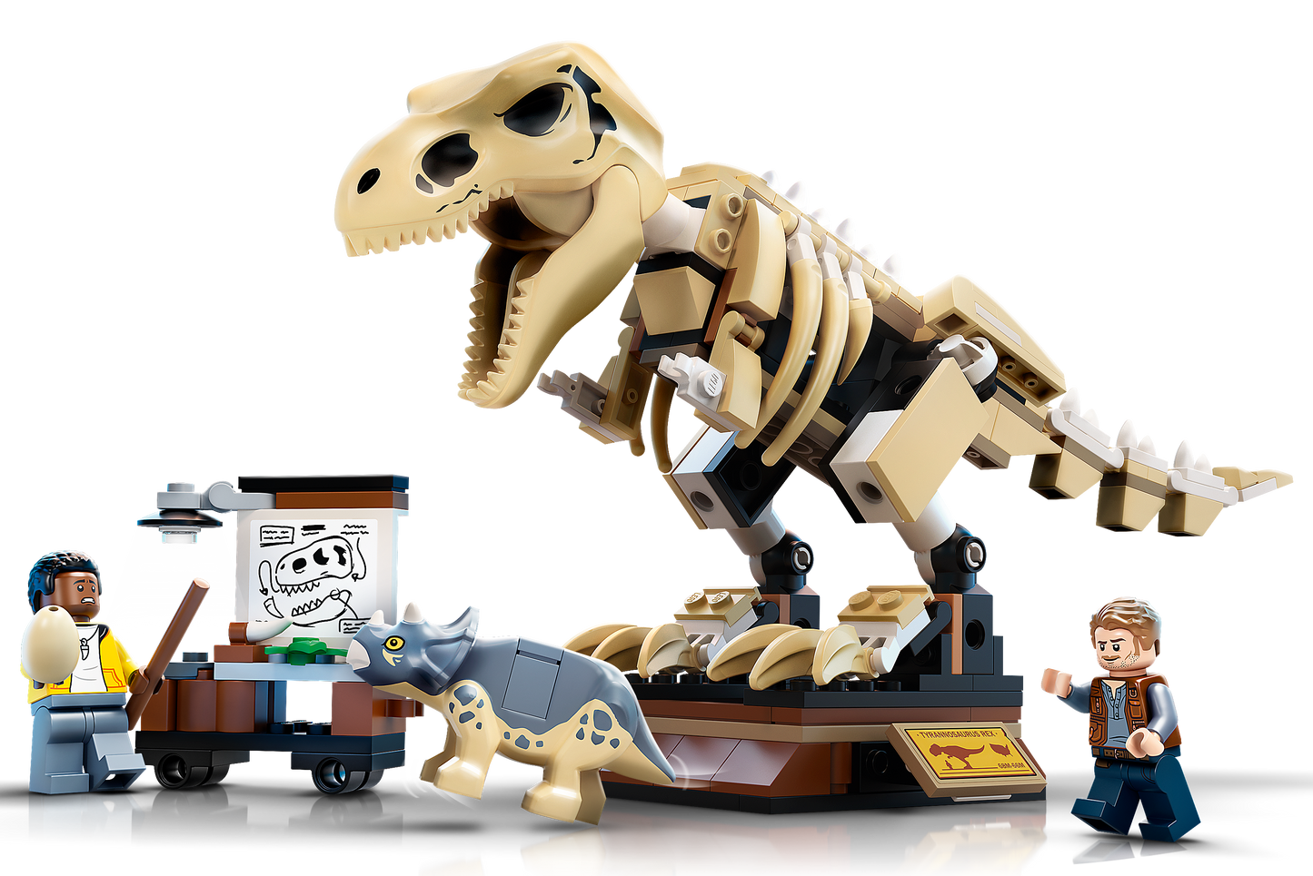 T. rex Dinosaur Fossil Exhibition