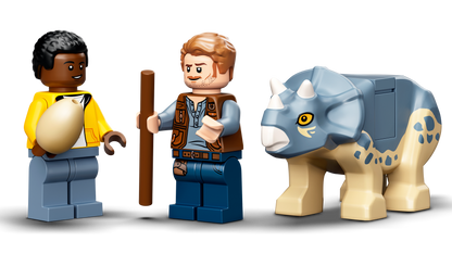 T. rex Dinosaur Fossil Exhibition