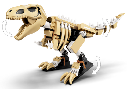 T. rex Dinosaur Fossil Exhibition