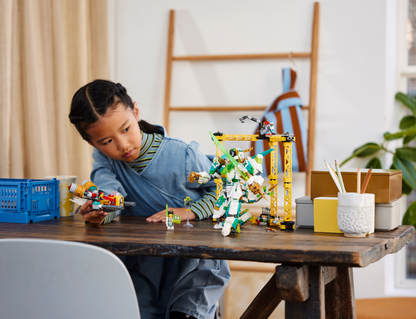 LEGO® set 80053